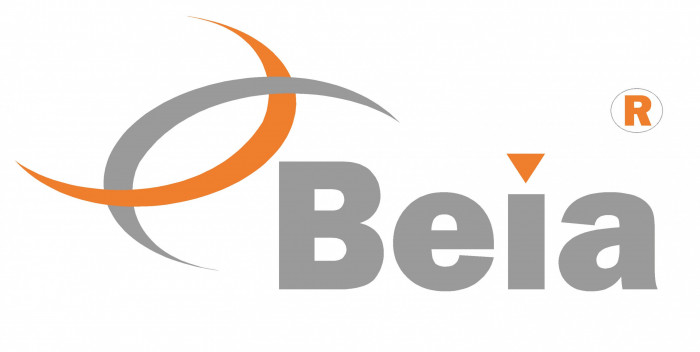 BEIA Grid Institut